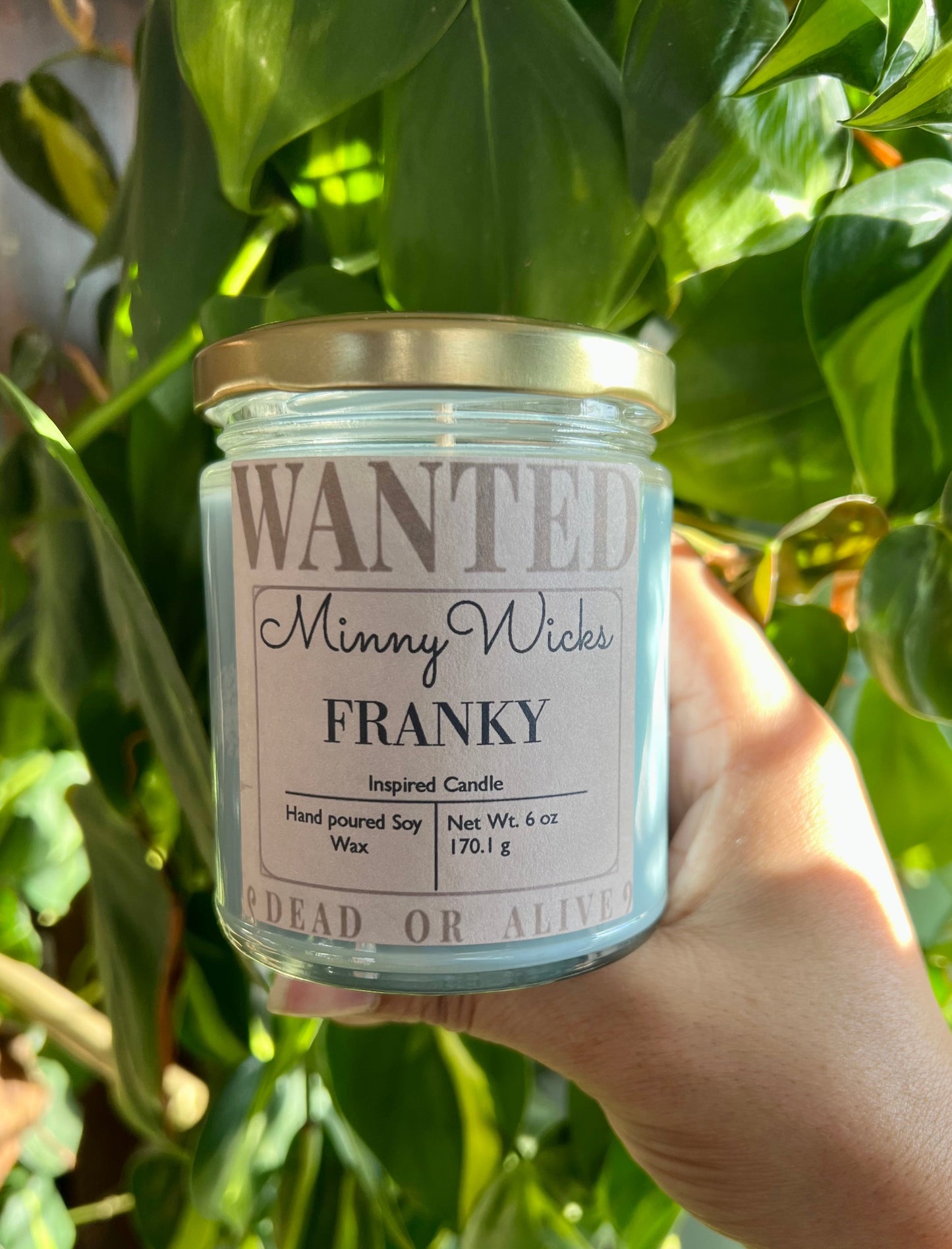 Vela inspirada en Franky – OP