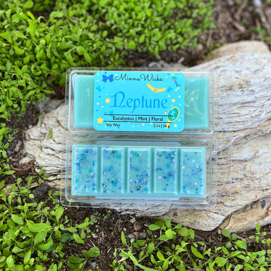 Barra de cera fundente Neptune – SM