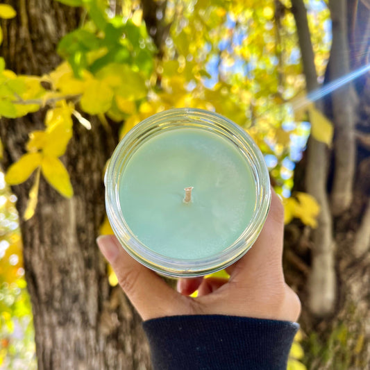Ant King Inspired Candle – HH