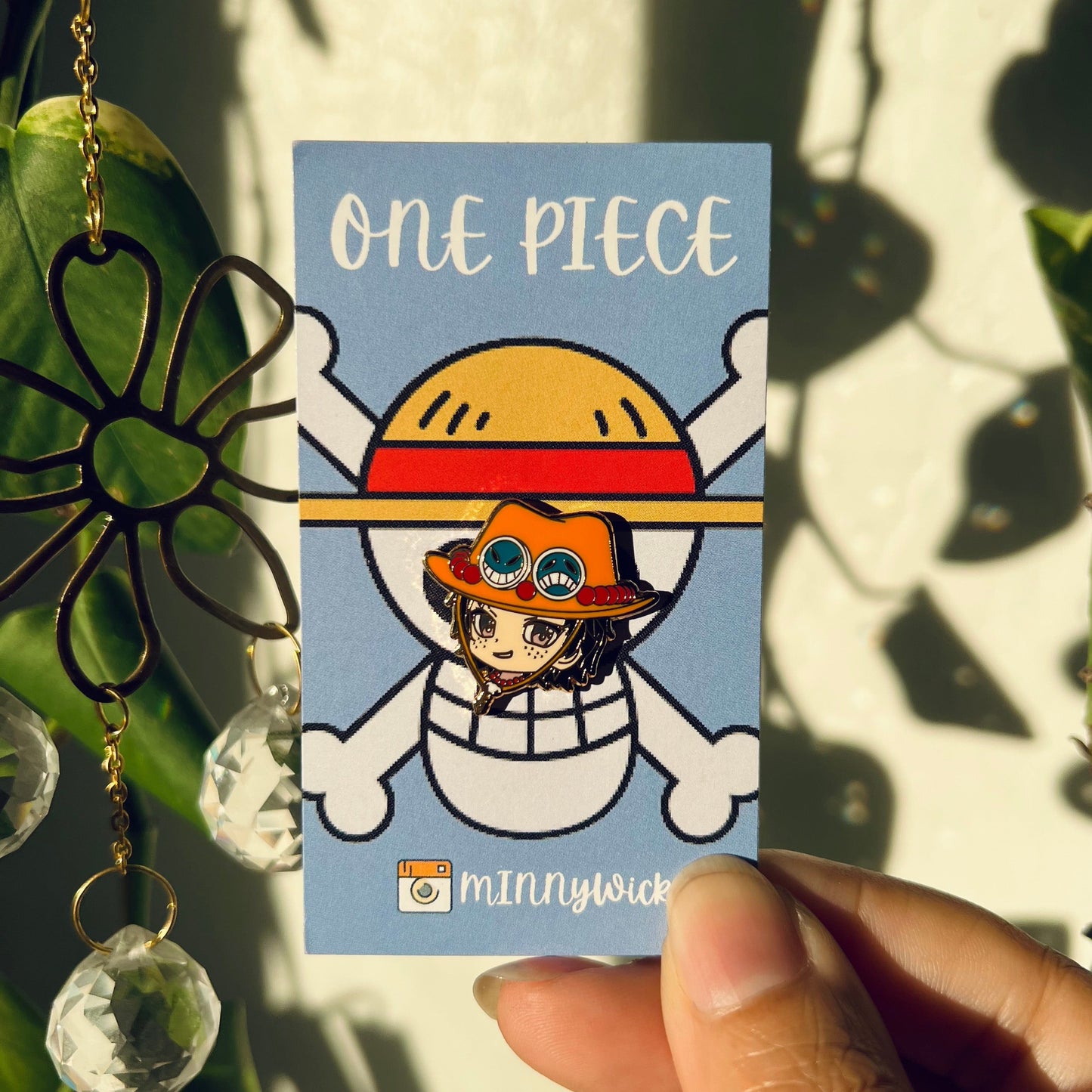 Pin em One Piece